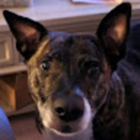 Meet your Posher, Heidi - Picture 1 of 1